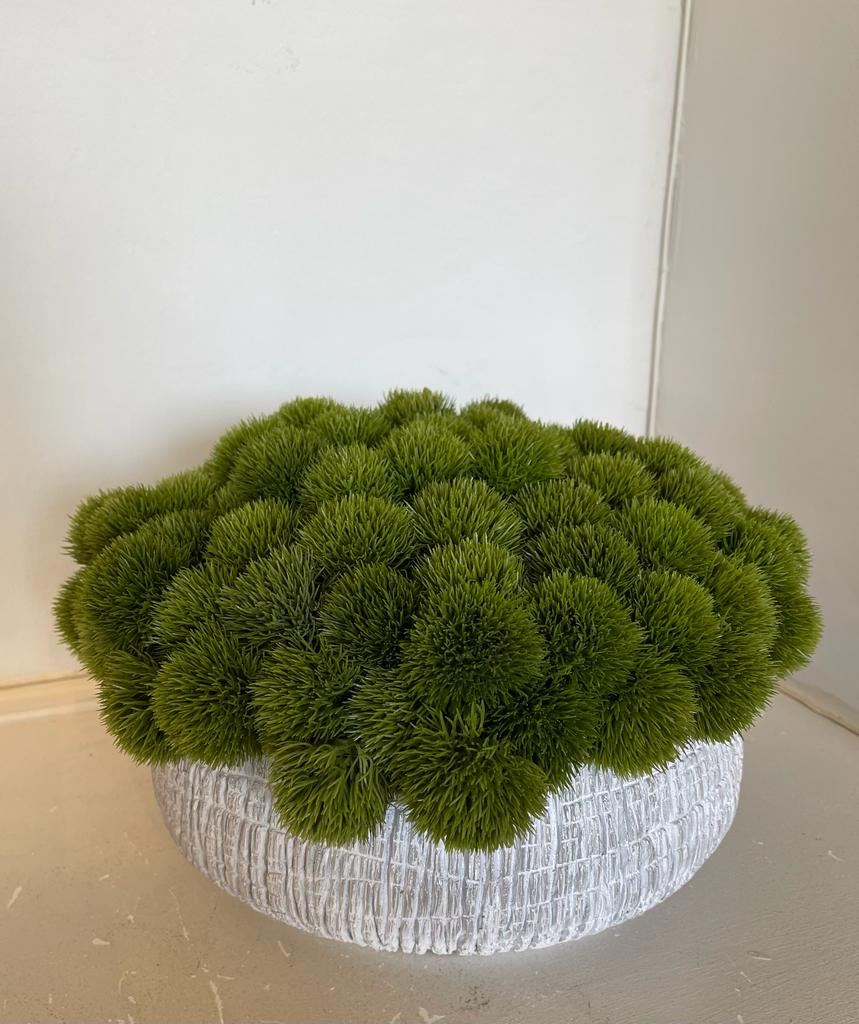 Seedheads in white/light grey bowl