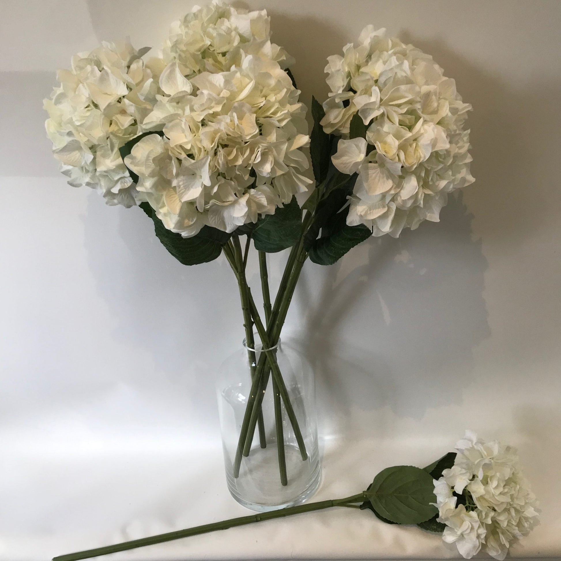 Heavenly Hydrangeas White