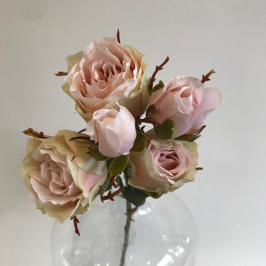 Vintage Rose Buds