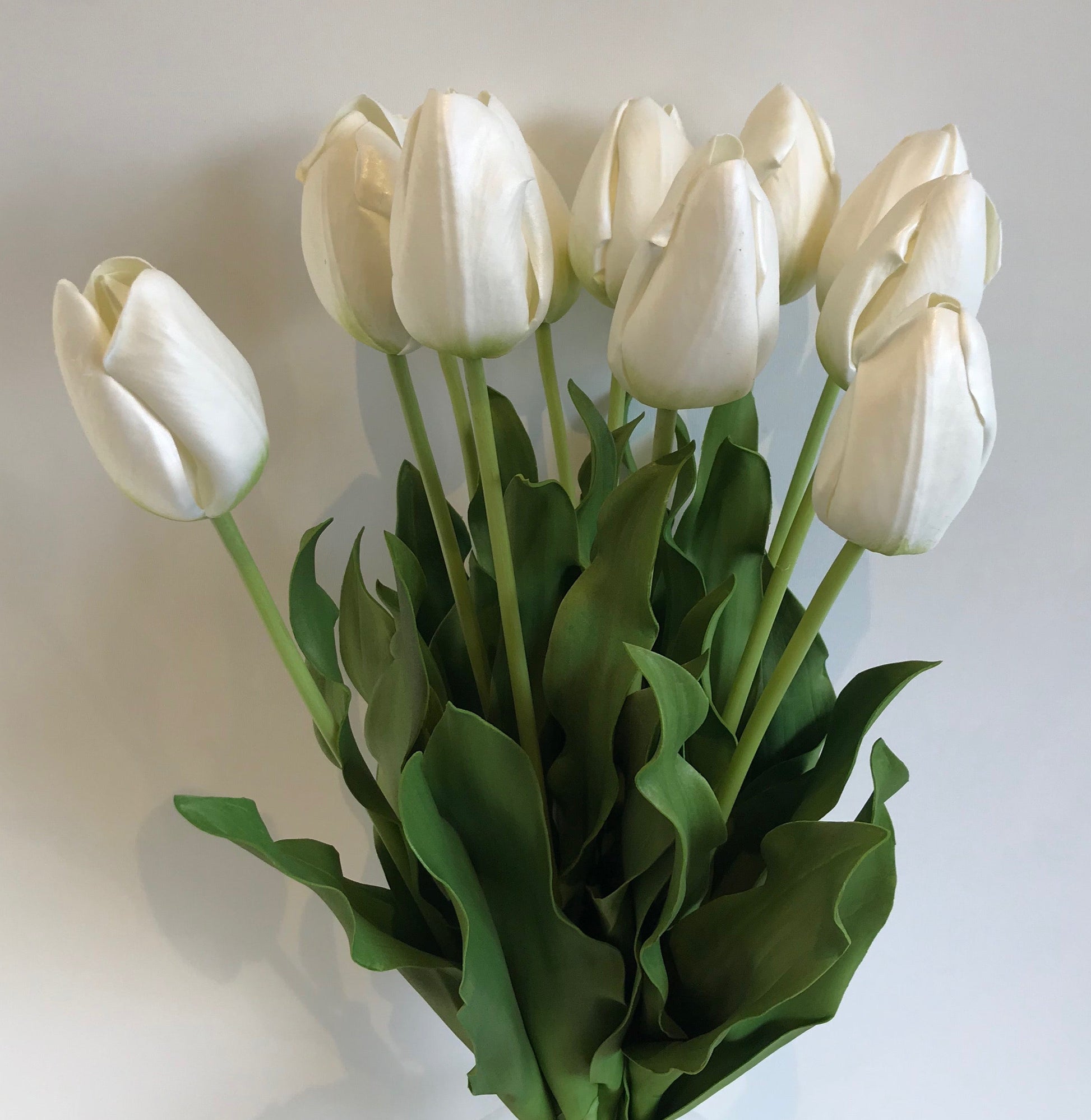 White Tulips