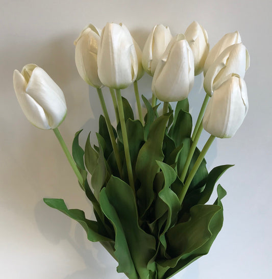 White Tulips