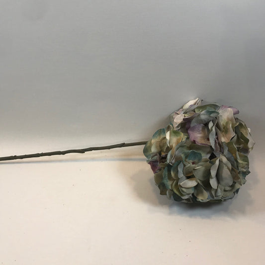 Pale Blue/Lavender Hydrangea