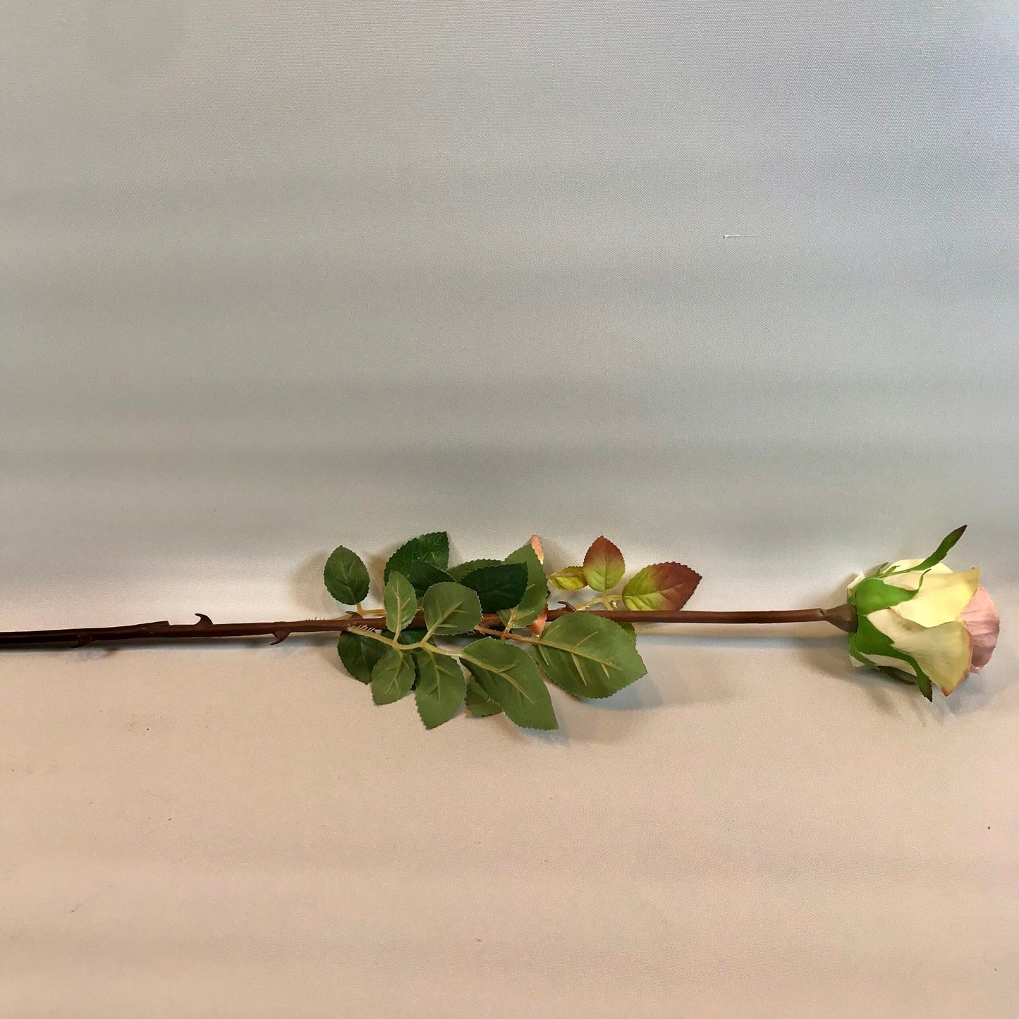 Long stemmed vintage Rose Bud