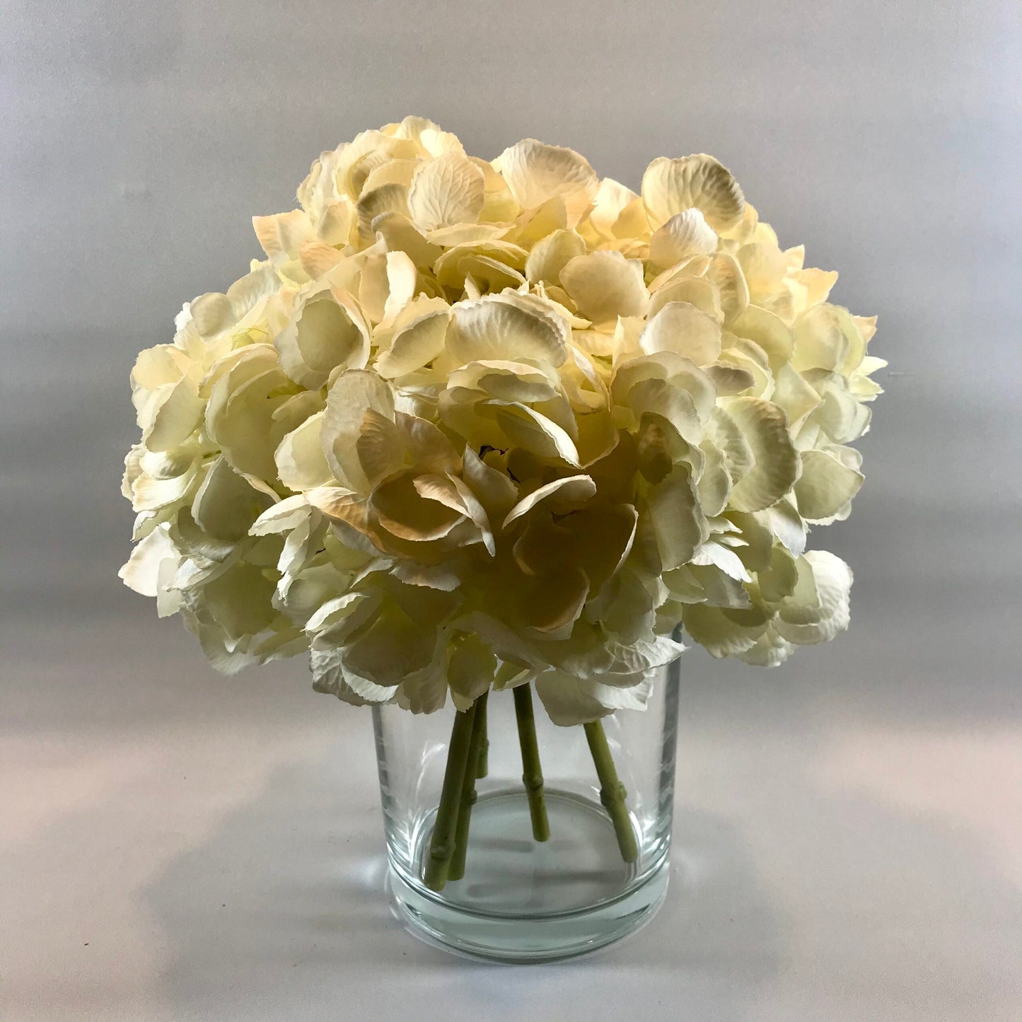 Mophead Hydrangeas in Glass Cylinder Tank
