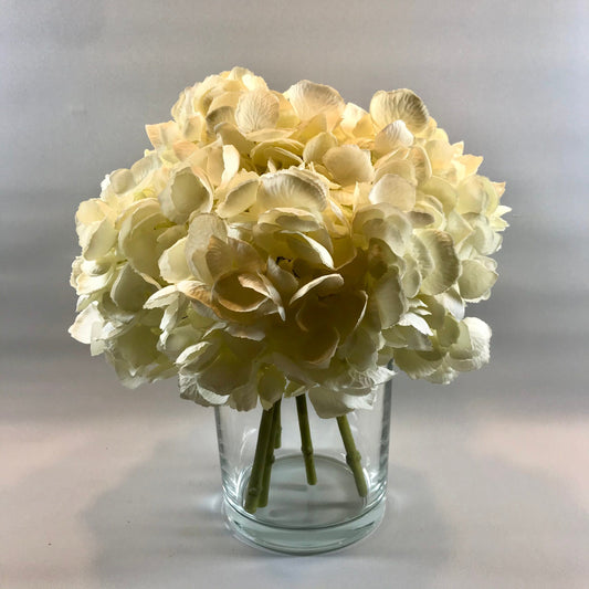 Mophead Hydrangeas in Glass Cylinder Tank