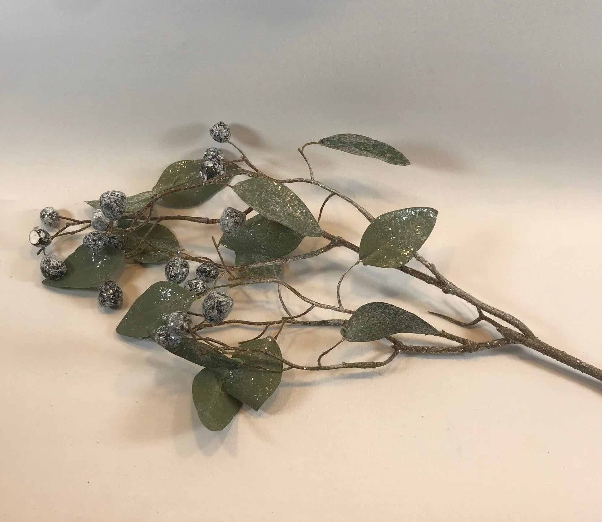 Frozen Eucalyptus Berries