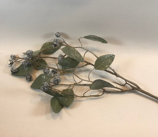 Frozen Eucalyptus Berries