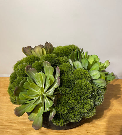 Moss ball & Succulents in black bowl